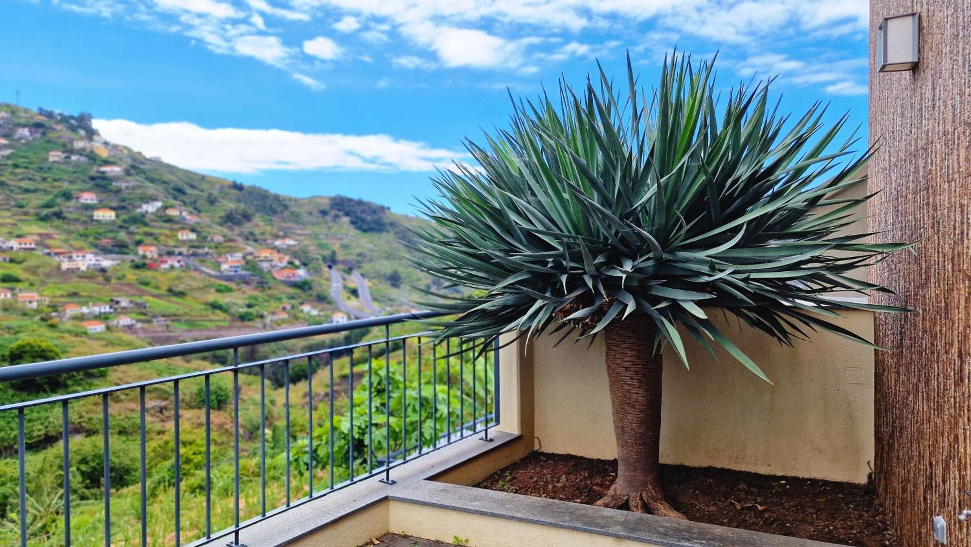 Capelas House Ribeira Brava Exterior foto